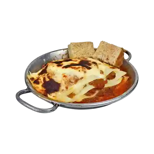 Bolognesa