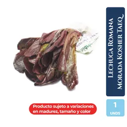 Lechuga Romana Morada Kosher Taeq