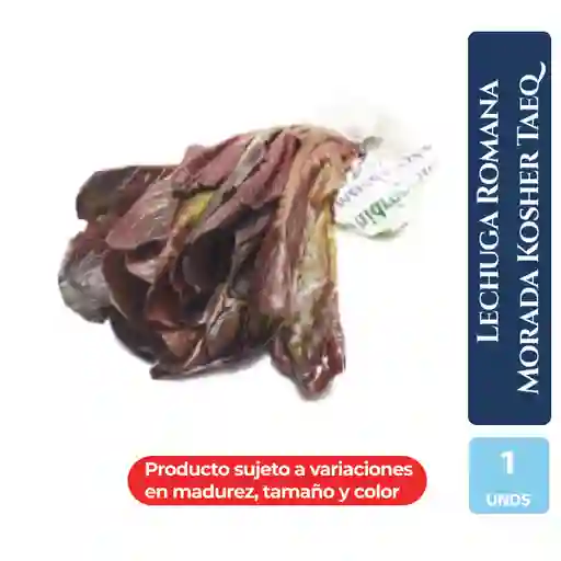 Lechuga Romana Morada Kosher Taeq