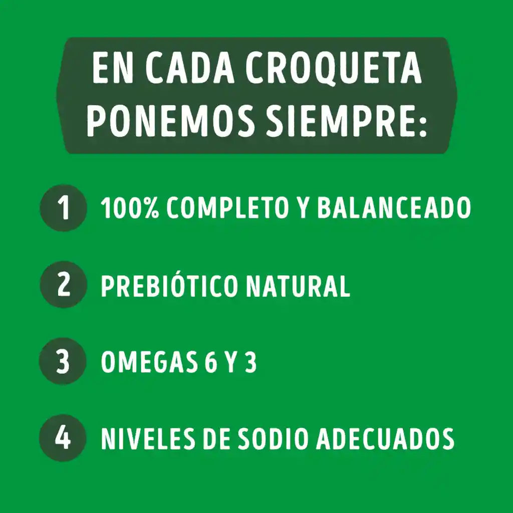 Comida para perro Dog Chow Adulto medianos y grandes x 22,7 kg