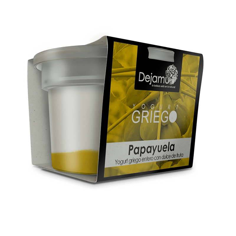 Dejamu Yogurt Griego con Dulce de Papayuela 160 g