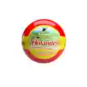 Queso Tipo Holandés Colanta x 250 g