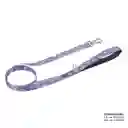 Correa Para Mascota Sencilla Odye S Morada