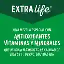 Comida húmeda para perros Precio Especial x 7 sobres