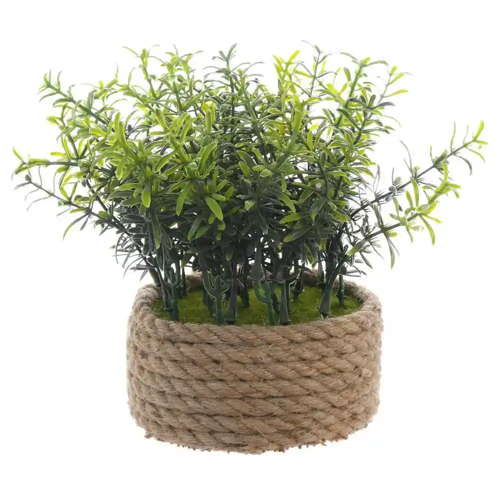 Planta Verde Concepts 456471746