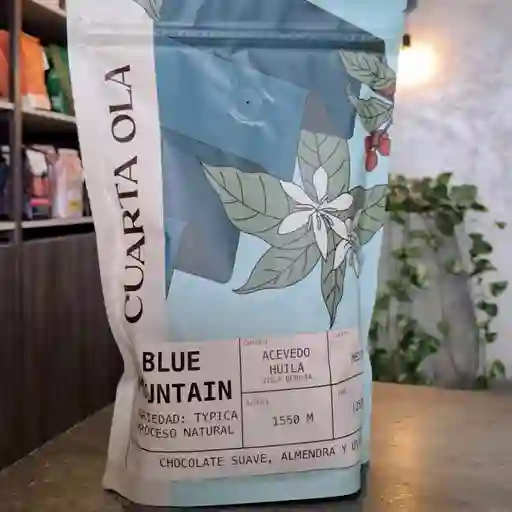 Cuarta ola blue mountain