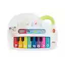 Fisher Price Juguete Didáctico Perrito Piano Sonidos Divertidos