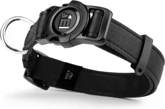 Memopet Collar de Nylon para Perros con Chip Integrado