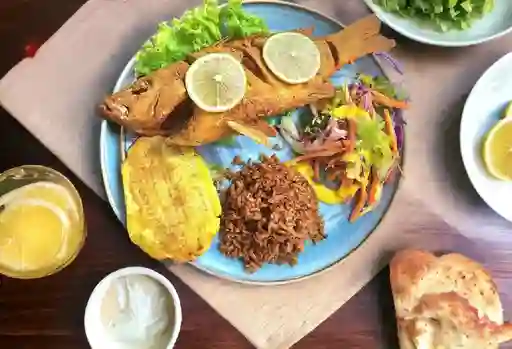 Robalo 300 gr