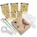 KidzLabs Kit de Excavación de Bichos Espeluznantes