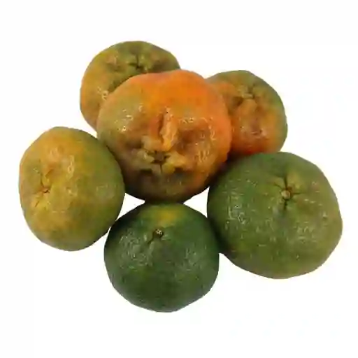 Mandarina Oneco