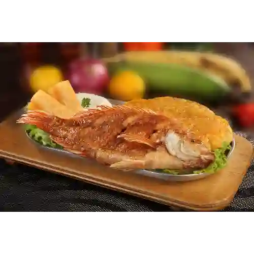 Mojarra Frita