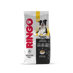 Ringo Alimento Para Perro Adulto Premium Pro