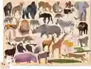Crocodile Creek Rompecabezas 100 pc 36 Wild Animals