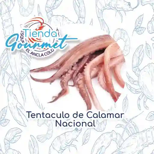 Tienda Gourmet Tentáculo de Calamar