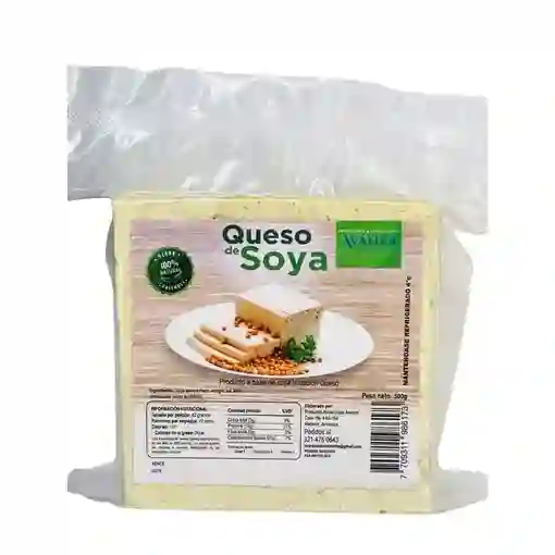 Queso de Soya - Avanza