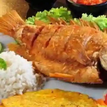 Mojarra Frita