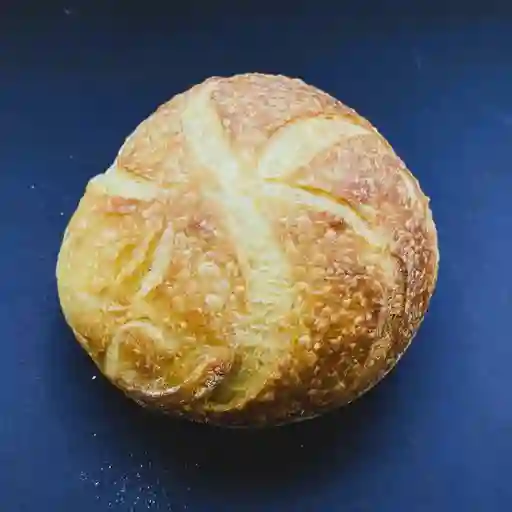 Pan amonite sémola