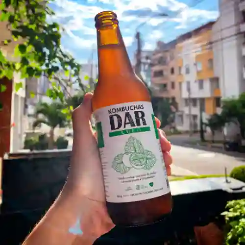 Kombucha Dar