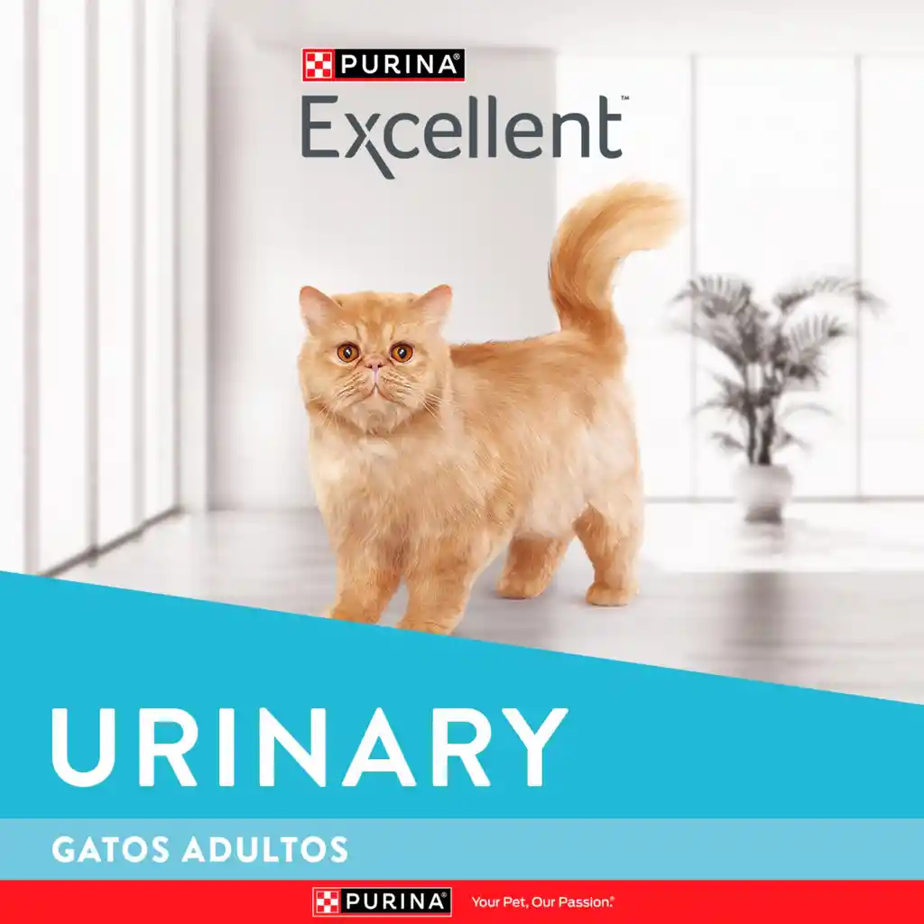 Comida para gatos EXCELLENT Urinary Cat x 3kg
