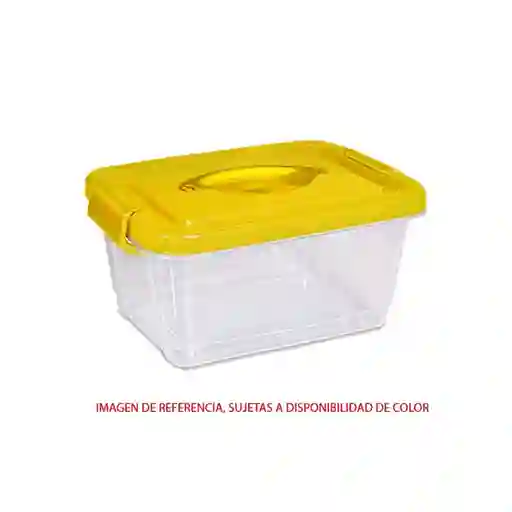 Kendy Caja Organizadora Forte Media 2.2 L N°1