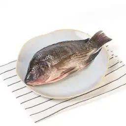 Mojarra Plateada