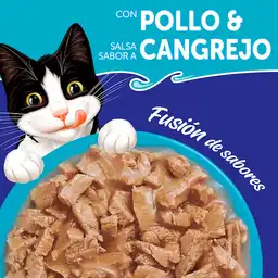 Felix Alimento Húmedo para Gato Adulto Fantastic Mix