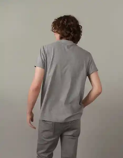 Camiseta Hombre Gris Talla X-Small American Eagle 01813758