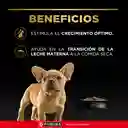 Comida para Perros cachorros razas pequeñas Purina Pro Plan x 1 kg