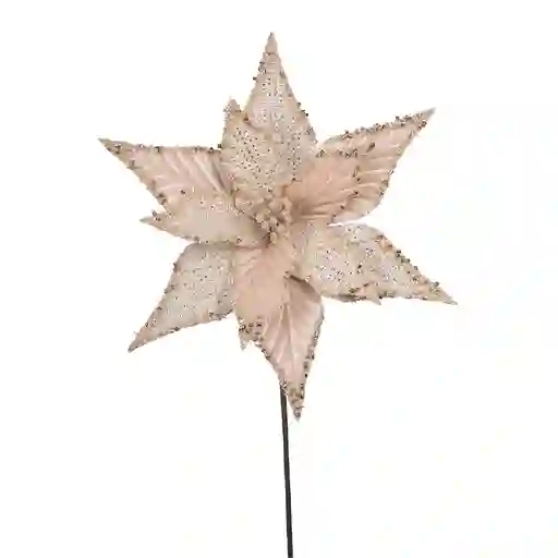 Flor Texturas Bosque Krea