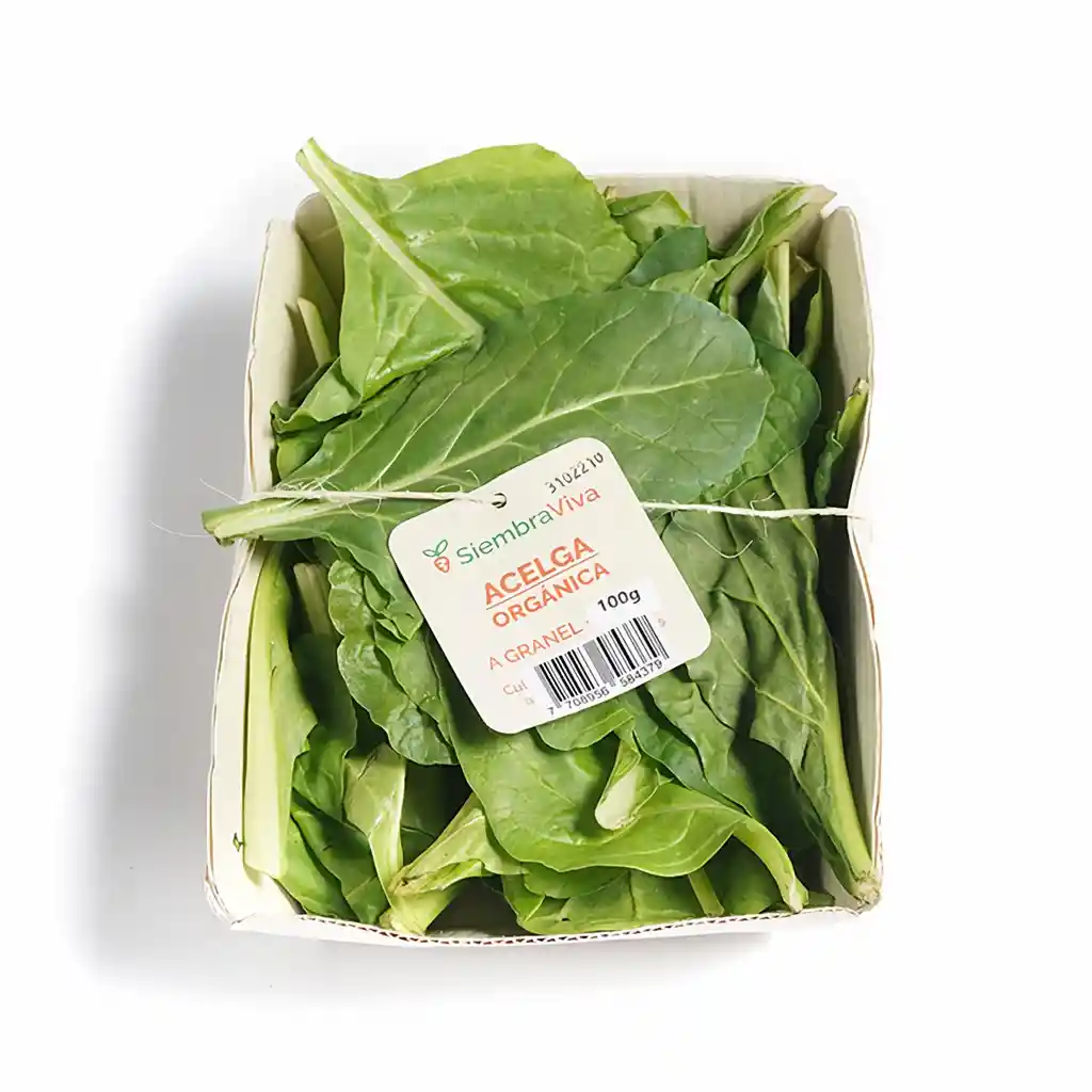 Siembra Viva Acelga Orgánica