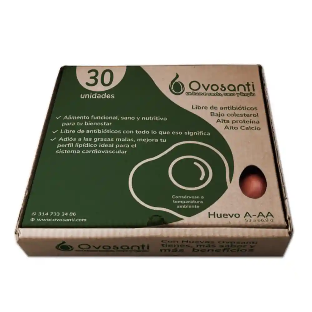 Huevos Ovosanti Caja Ecológica *30