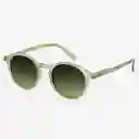 Izipizi Gafas Sun D Verde Carey +0.0