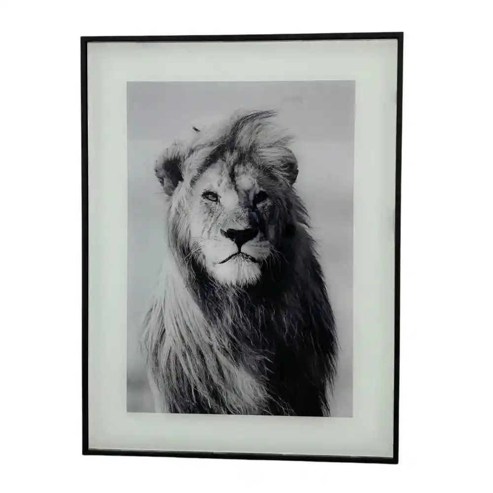 Cuadro Leon Concepts 449276781