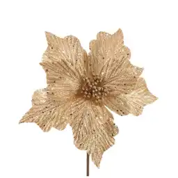 Poinsettia Básica Red Navidad 2024