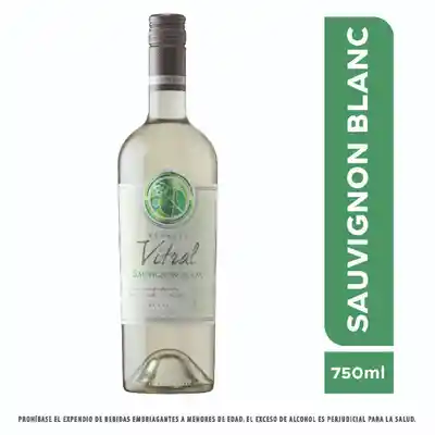 Maipo Vino Vitral Reserva Sauvignon Blanc