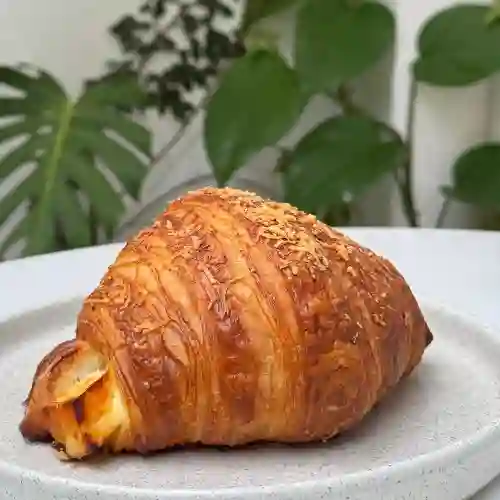 Croissants de Queso