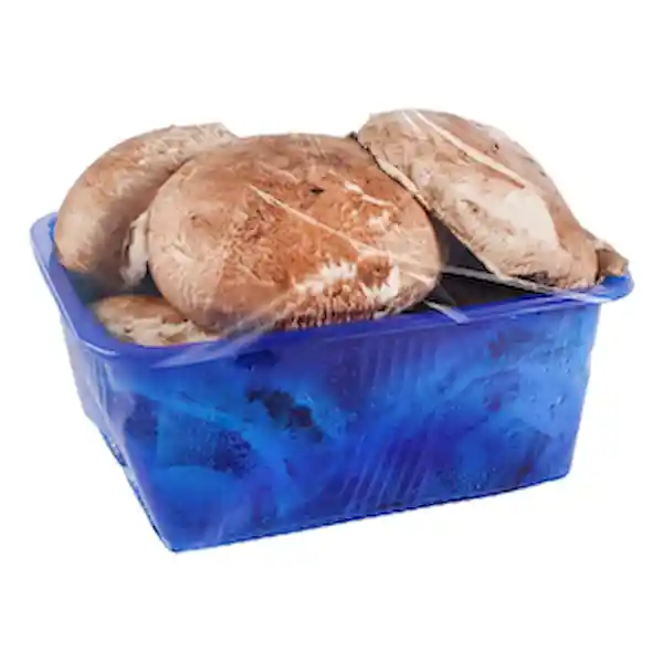 Members Selection Champinon Portobello