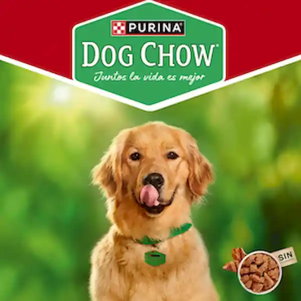 Dog Chow Comida Húmeda Para Perro Sabores Surtidos