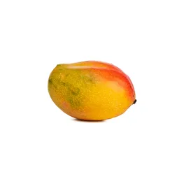 Mango Yulima