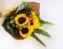 Bouquet De Girasoles