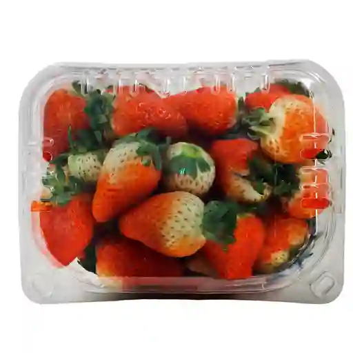Fresa Extra