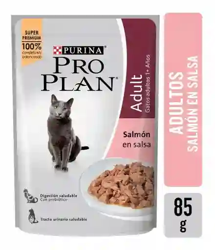 Pro Plan Alimento Húmedo para Gato Salmòn en Salsa
