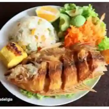 Mojarra Roja