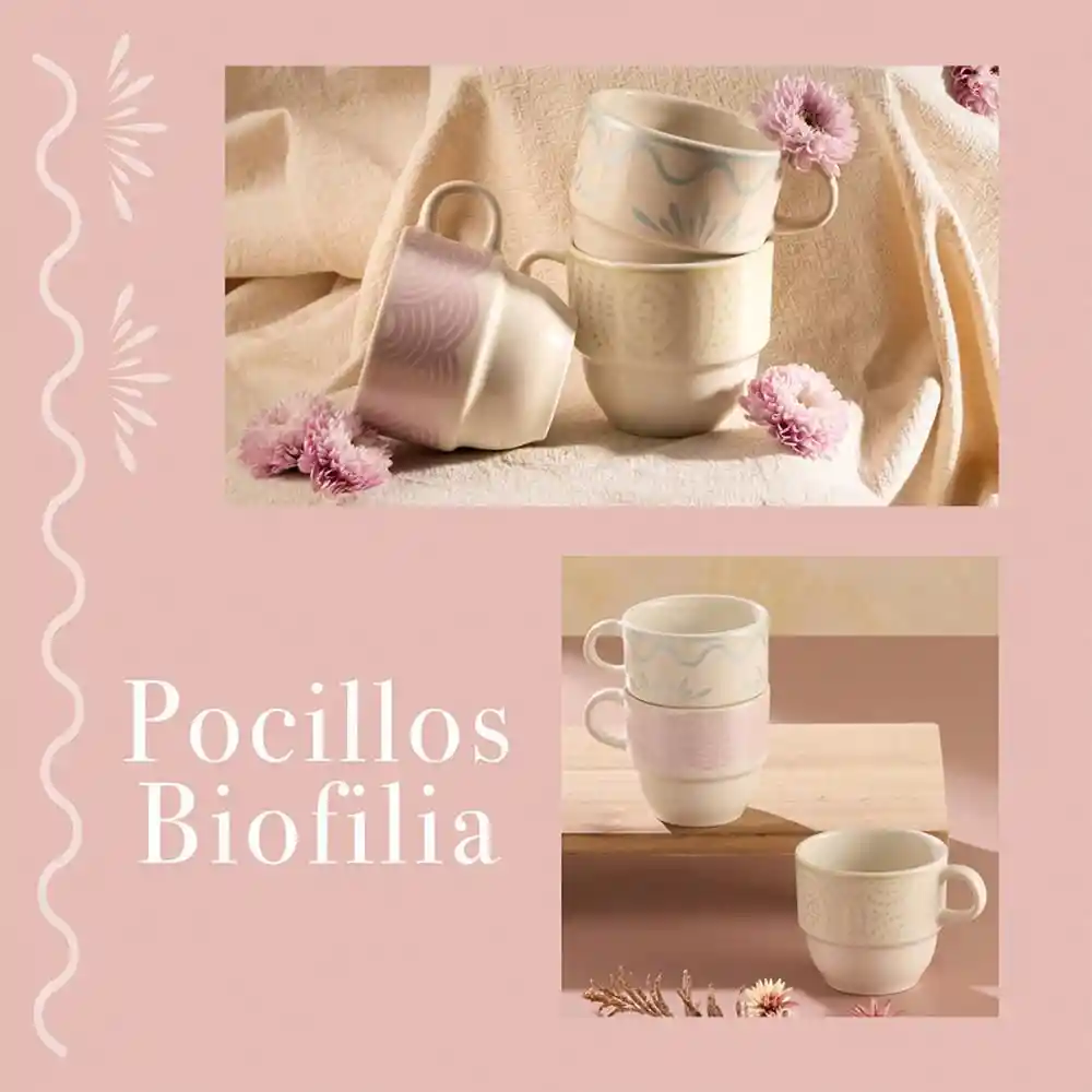 Set 3 Pocillos Biofilia Corona Sl194i004403