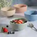 Bowl Cereal Tia Colores Surtidos Gibson 76589.04ps