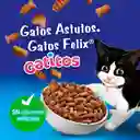 Comida para Gatitos Purina Felix Megamix x 1,5kg