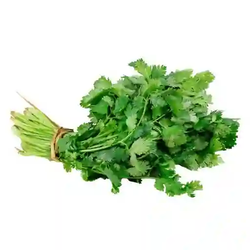 Naturomar Cilantro Fresco