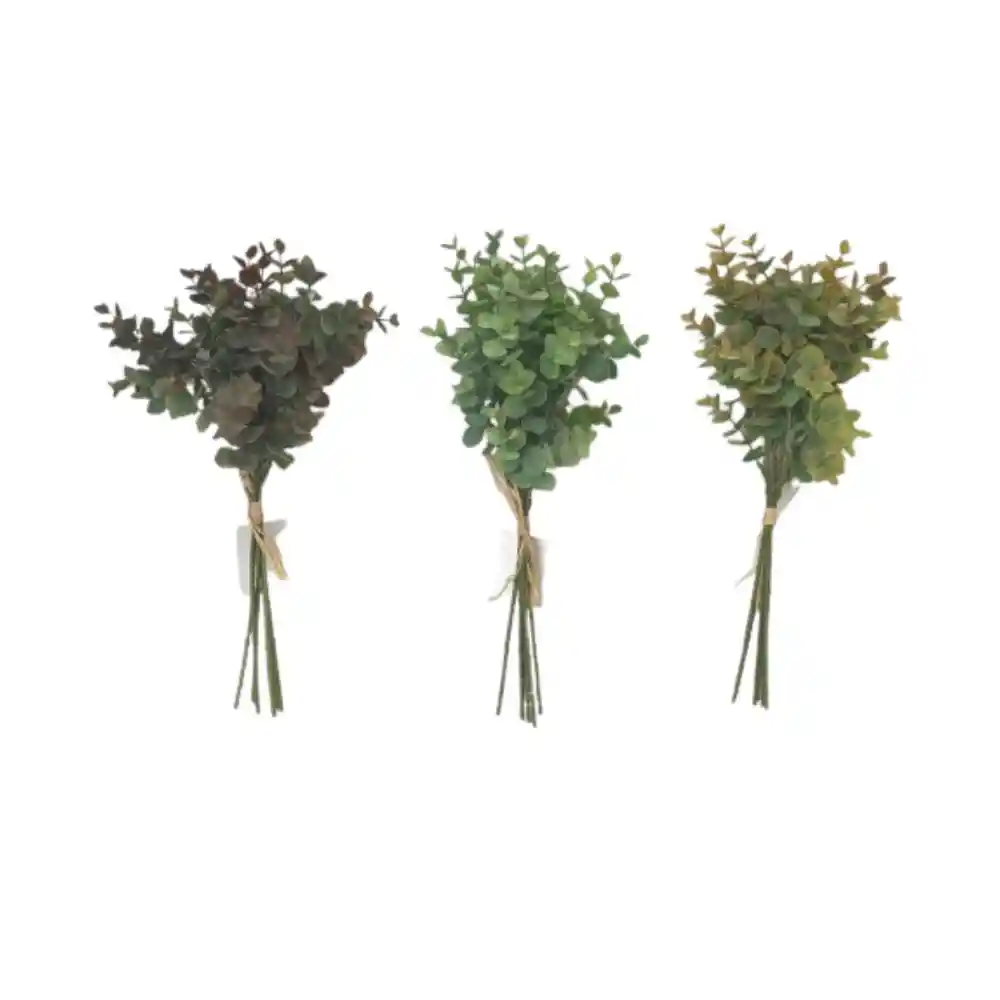 Ramo Eucalipto Concepts 420593969srt