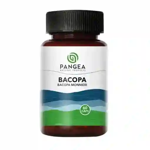 Bacopa - Pangea